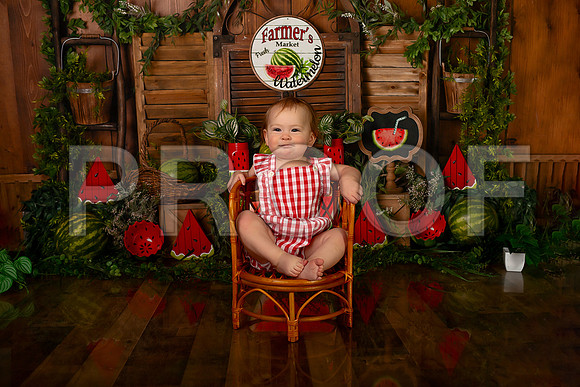 Kansas City Watermelon Cake Smash Photographer | First Birthday Portraits