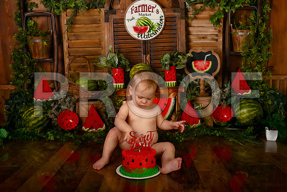 Kansas City Watermelon Cake Smash Photographer | First Birthday Portraits