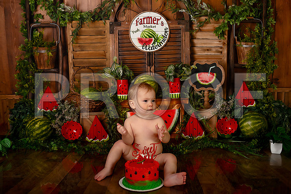 Kansas City Watermelon Cake Smash Photographer | First Birthday Portraits