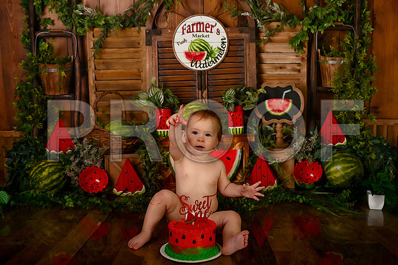 Kansas City Watermelon Cake Smash Photographer | First Birthday Portraits