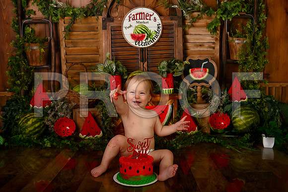 Kansas City Watermelon Cake Smash Photographer | First Birthday Portraits