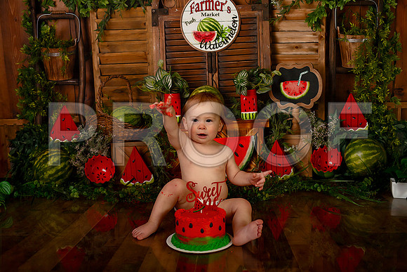 Kansas City Watermelon Cake Smash Photographer | First Birthday Portraits