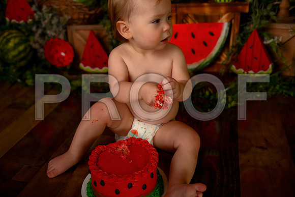 Kansas City Watermelon Cake Smash Photographer | First Birthday Portraits