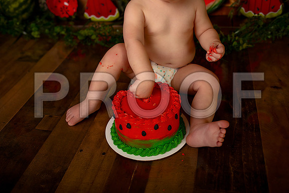 Kansas City Watermelon Cake Smash Photographer | First Birthday Portraits