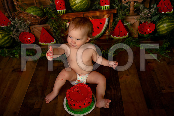 Kansas City Watermelon Cake Smash Photographer | First Birthday Portraits