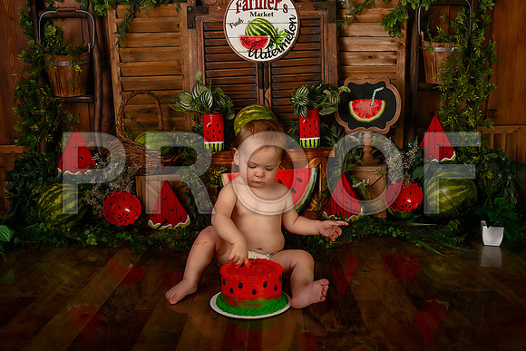 Kansas City Watermelon Cake Smash Photographer | First Birthday Portraits