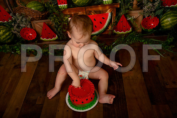 Kansas City Watermelon Cake Smash Photographer | First Birthday Portraits