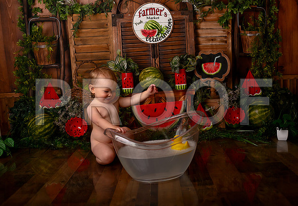 Kansas City Watermelon Cake Smash Photographer | First Birthday Portraits