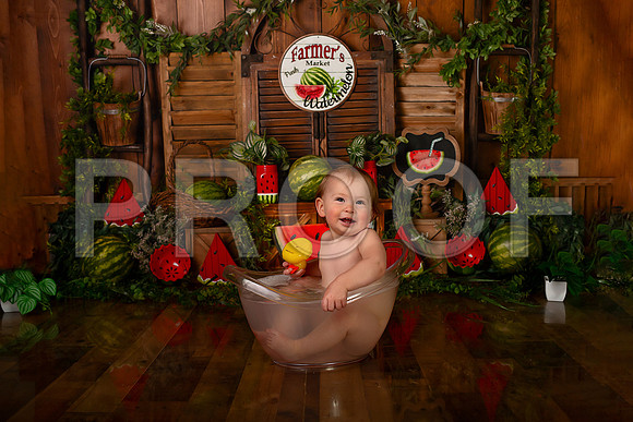 Kansas City Watermelon Cake Smash Photographer | First Birthday Portraits