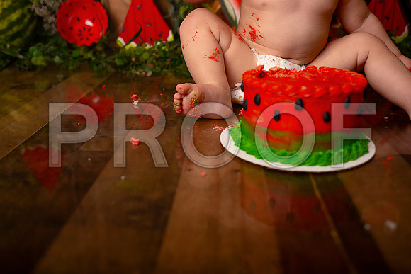 Kansas City Watermelon Cake Smash Photographer | First Birthday Portraits