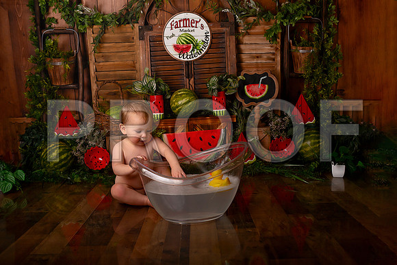 Kansas City Watermelon Cake Smash Photographer | First Birthday Portraits