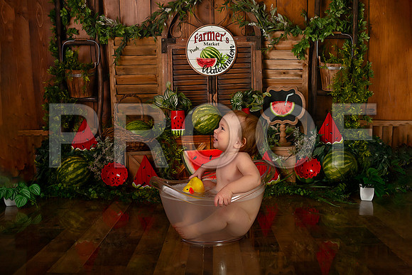 Kansas City Watermelon Cake Smash Photographer | First Birthday Portraits