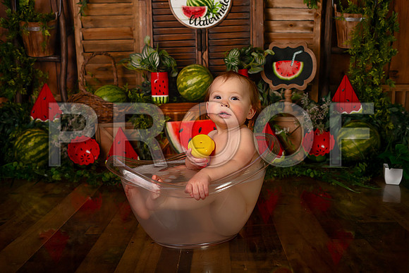 Kansas City Watermelon Cake Smash Photographer | First Birthday Portraits