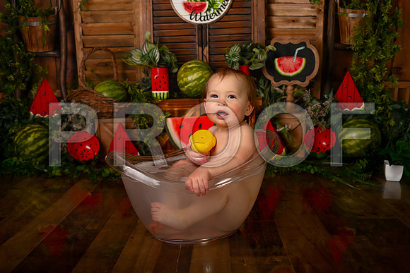 Kansas City Watermelon Cake Smash Photographer | First Birthday Portraits