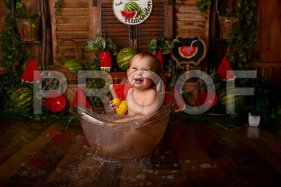 Kansas City Watermelon Cake Smash Photographer | First Birthday Portraits