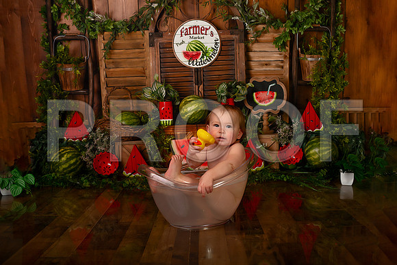 Kansas City Watermelon Cake Smash Photographer | First Birthday Portraits