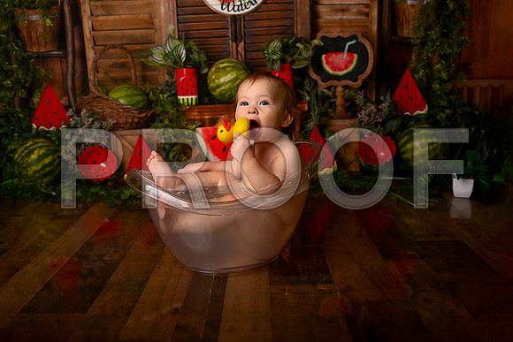 Kansas City Watermelon Cake Smash Photographer | First Birthday Portraits