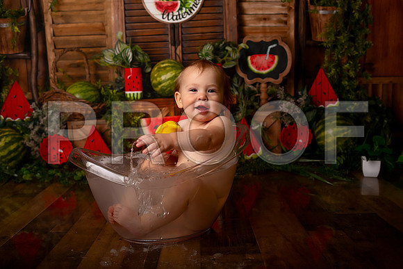 Kansas City Watermelon Cake Smash Photographer | First Birthday Portraits