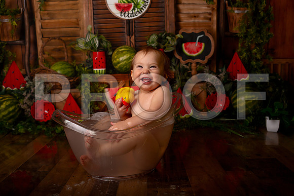 Kansas City Watermelon Cake Smash Photographer | First Birthday Portraits