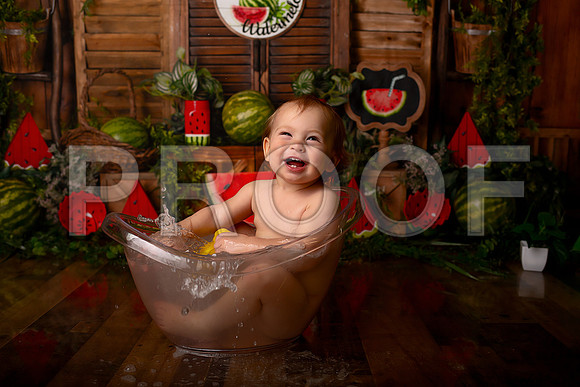 Kansas City Watermelon Cake Smash Photographer | First Birthday Portraits