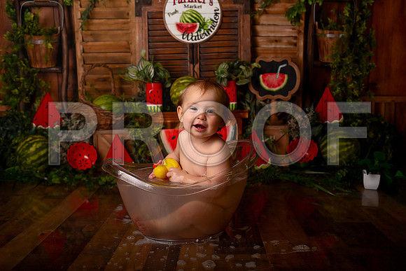 Kansas City Watermelon Cake Smash Photographer | First Birthday Portraits