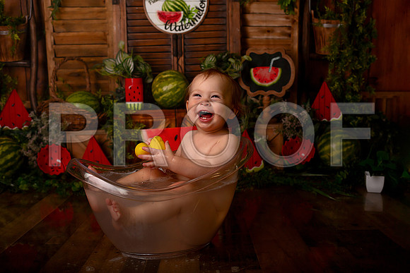 Kansas City Watermelon Cake Smash Photographer | First Birthday Portraits