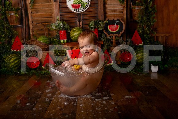 Kansas City Watermelon Cake Smash Photographer | First Birthday Portraits