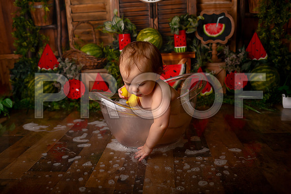 Kansas City Watermelon Cake Smash Photographer | First Birthday Portraits
