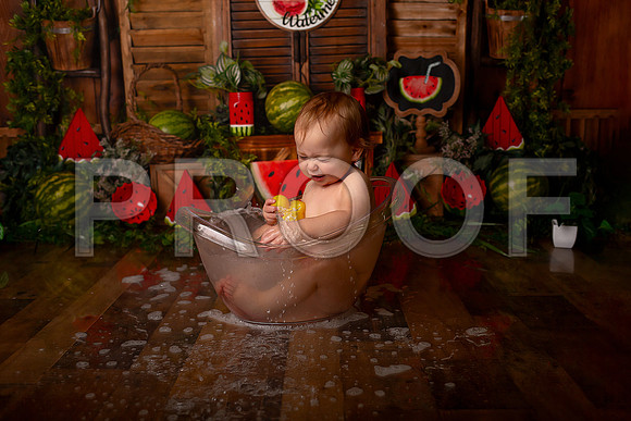 Kansas City Watermelon Cake Smash Photographer | First Birthday Portraits