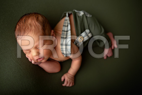 Kansas City Newborn Photographer | Award-Winning Baby Portraits
