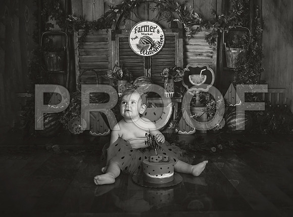 Kansas City Watermelon Cake Smash Photographer | First Birthday Portraits