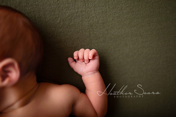 Kansas City Newborn Photographer | Award-Winning Baby Portraits