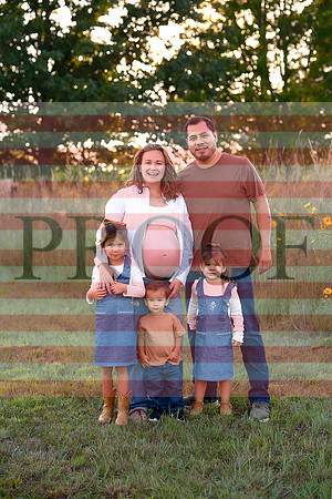 Fine Art Kansas City Maternity Photography | Luxury Pregnancy Portraits