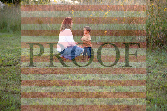 Fine Art Kansas City Maternity Photography | Luxury Pregnancy Portraits