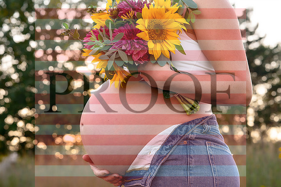 Fine Art Kansas City Maternity Photography | Luxury Pregnancy Portraits