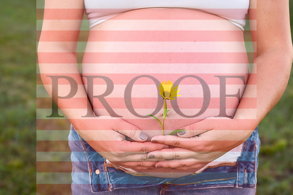 Fine Art Kansas City Maternity Photography | Luxury Pregnancy Portraits