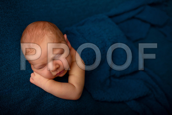 Kansas City Newborn Photographer | Award-Winning Baby Portraits