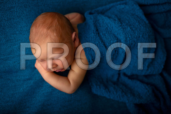 Kansas City Newborn Photographer | Award-Winning Baby Portraits