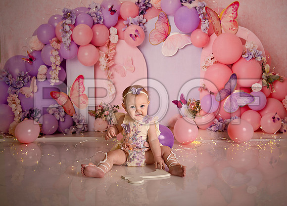 Kansas City Cake Smash Photographer | Butterfly Theme Portraits | Heather Sears Photography
