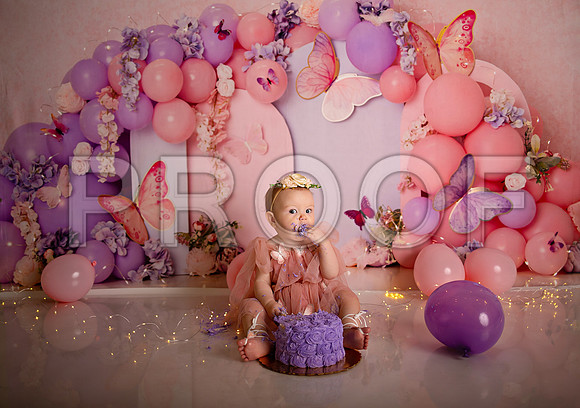 Kansas City Cake Smash Photographer | Butterfly Theme Portraits | Heather Sears Photography