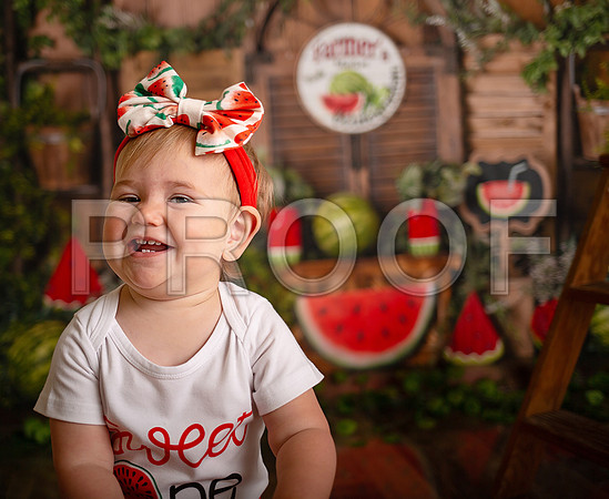 Kansas City Watermelon Cake Smash Photographer | First Birthday Portraits