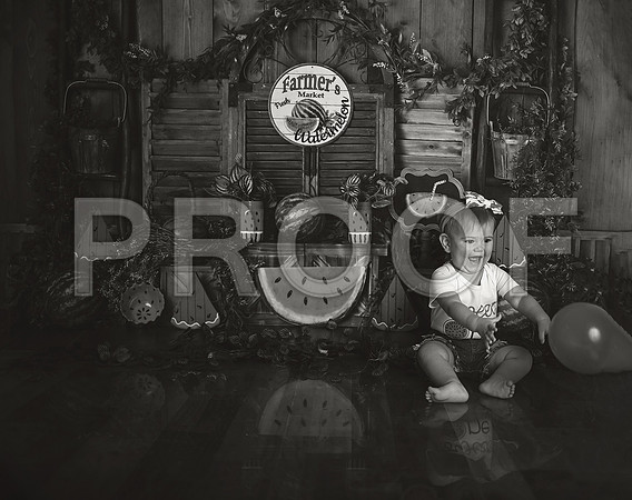 Kansas City Watermelon Cake Smash Photographer | First Birthday Portraits