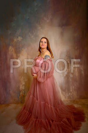 Kansas City Fine Art Studio Maternity Photography | Paola & Osawatomie Studio