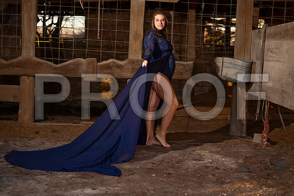 Fine Art Kansas City Maternity Photography | Luxury Pregnancy Portraits