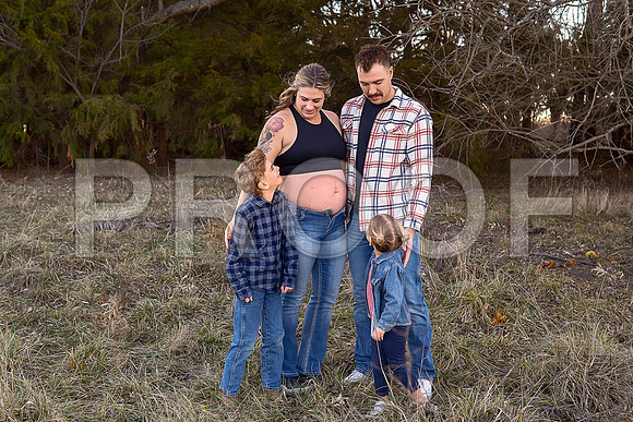 Fine Art Kansas City Maternity Photography | Luxury Pregnancy Portraits