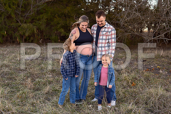 Fine Art Kansas City Maternity Photography | Luxury Pregnancy Portraits