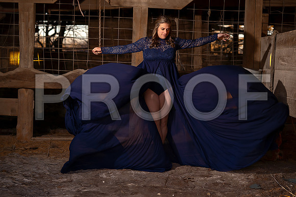Fine Art Kansas City Maternity Photography | Luxury Pregnancy Portraits