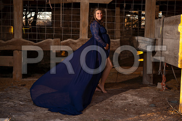 Fine Art Kansas City Maternity Photography | Luxury Pregnancy Portraits