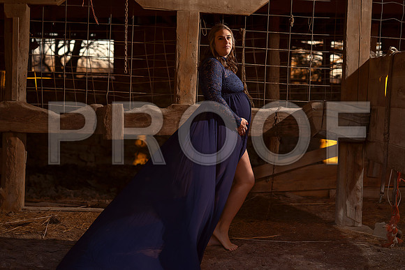 Fine Art Kansas City Maternity Photography | Luxury Pregnancy Portraits