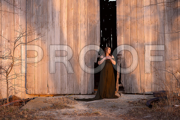 Fine Art Kansas City Maternity Photography | Luxury Pregnancy Portraits